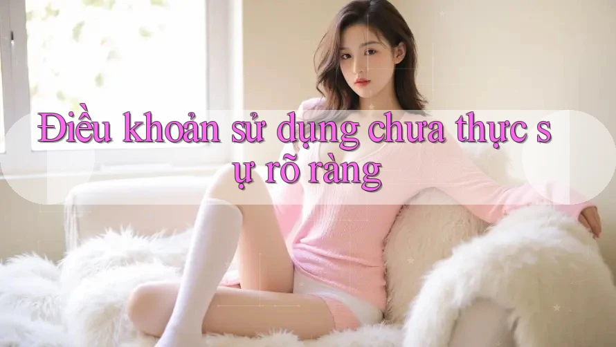 Điều khoản sử dụng chưa thực sự rõ ràng