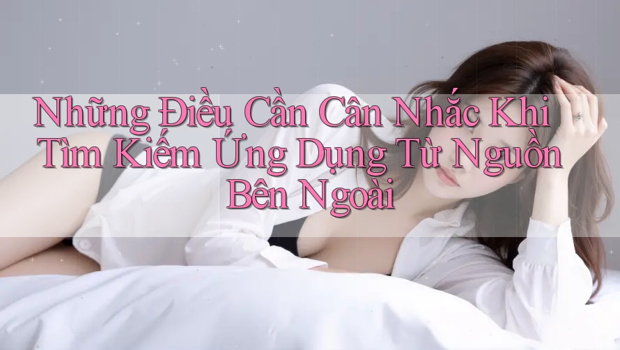 Những Điều Cần Cân Nhắc Khi Tìm Kiếm Ứng Dụng Từ Nguồn Bên Ngoài