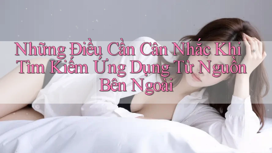 Những Điều Cần Cân Nhắc Khi Tìm Kiếm Ứng Dụng Từ Nguồn Bên Ngoài Những Điều Cần Cân Nhắc Khi Tìm Kiếm Ứng Dụng Từ Nguồn Bên Ngoài